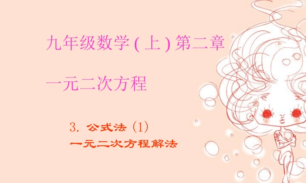 九年级数学第二单元公式法 北师大版 课件