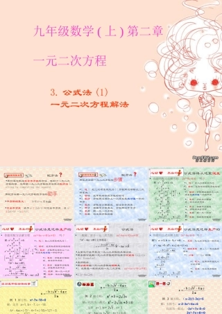 九年级数学第二单元公式法 北师大版 课件