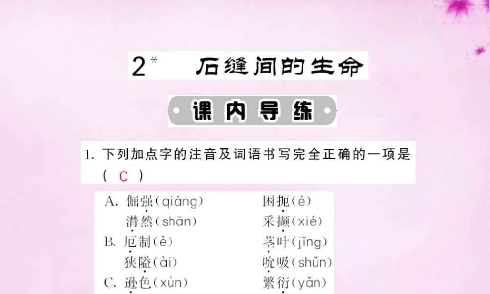 九年级语文下册 2 石缝间的生命课件 语文版 课件