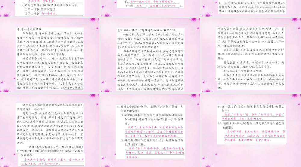 九年级语文下册 2 石缝间的生命课件 语文版 课件