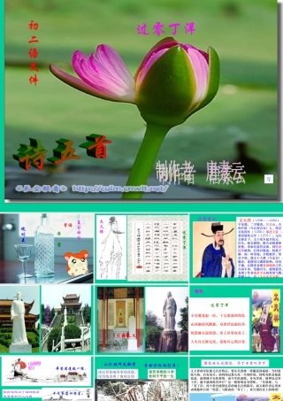 八年级语文过零丁洋课件2语文版 课件