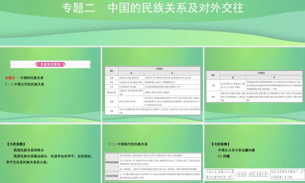 中考历史复习 专题二 中国的民族关系及对外交往课件