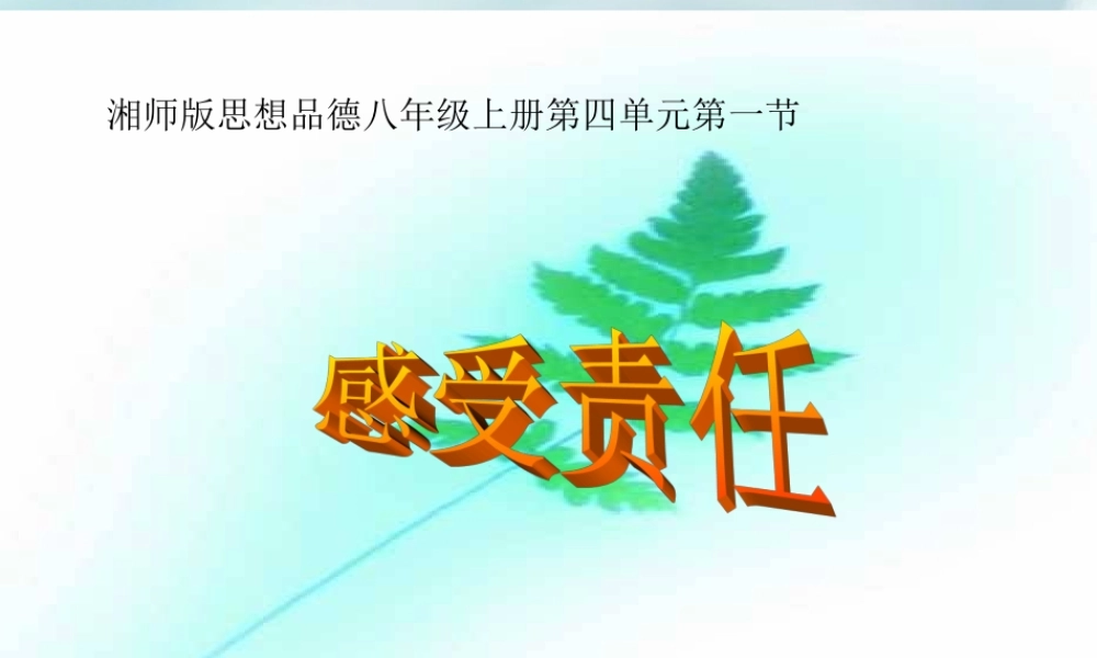 八年级思想品德上册 第四单元第一节(感受责任)课件 湘师版 课件