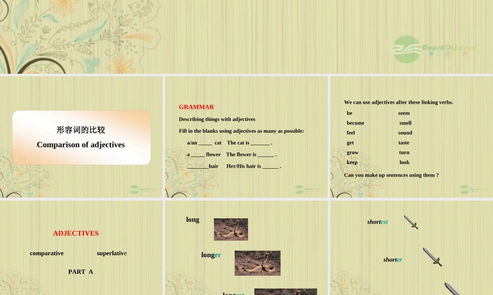 八年级英语上册(Unit 1 Friends)Grammar课件 牛津译林版 课件