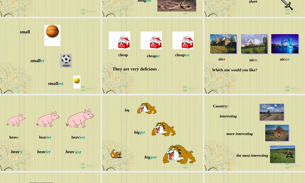 八年级英语上册(Unit 1 Friends)Grammar课件 牛津译林版 课件