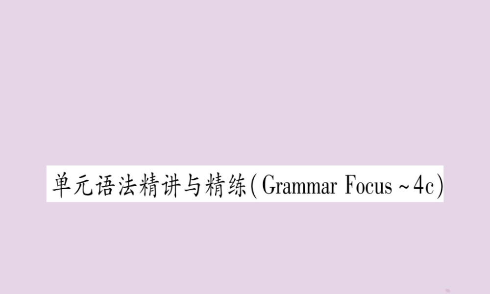 九年级英语全册 Unit 9 I like music that I can dance to语法精讲与精练作业课件 (新版)人教新目标版 课件
