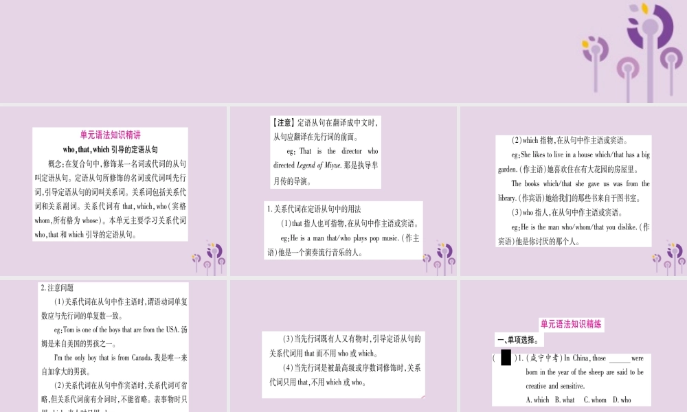 九年级英语全册 Unit 9 I like music that I can dance to语法精讲与精练作业课件 (新版)人教新目标版 课件