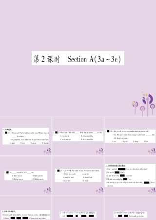 九年级英语全册 Unit 7 Teenagers should be allowed to choose their own clothes(第2课时)作业课件 (新版)人教新目标版 课件