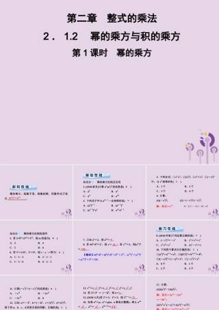 七年级数学下册 第2章(整式的乘法)2.1 整式的乘法 2.1.2 幂的乘方与积的乘方 第1课时 幂的乘方习题课件 (新版)湘教版 课件