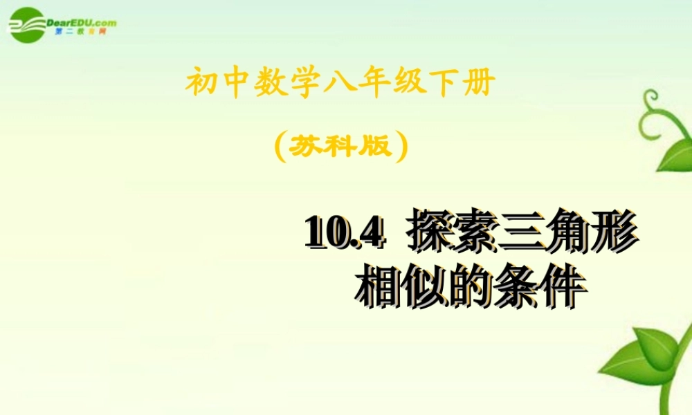 八年级数学下册 10.4探索三角形相似条件(2)课件 苏科版 课件