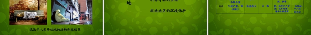 中学七年级地理下册(10.1 极地地区)课件 新人教版 课件