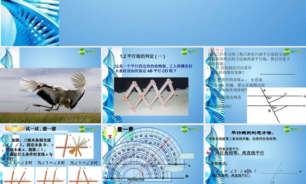 八年级数学上册 (平行线的判定)第1课时课件 浙教版 课件