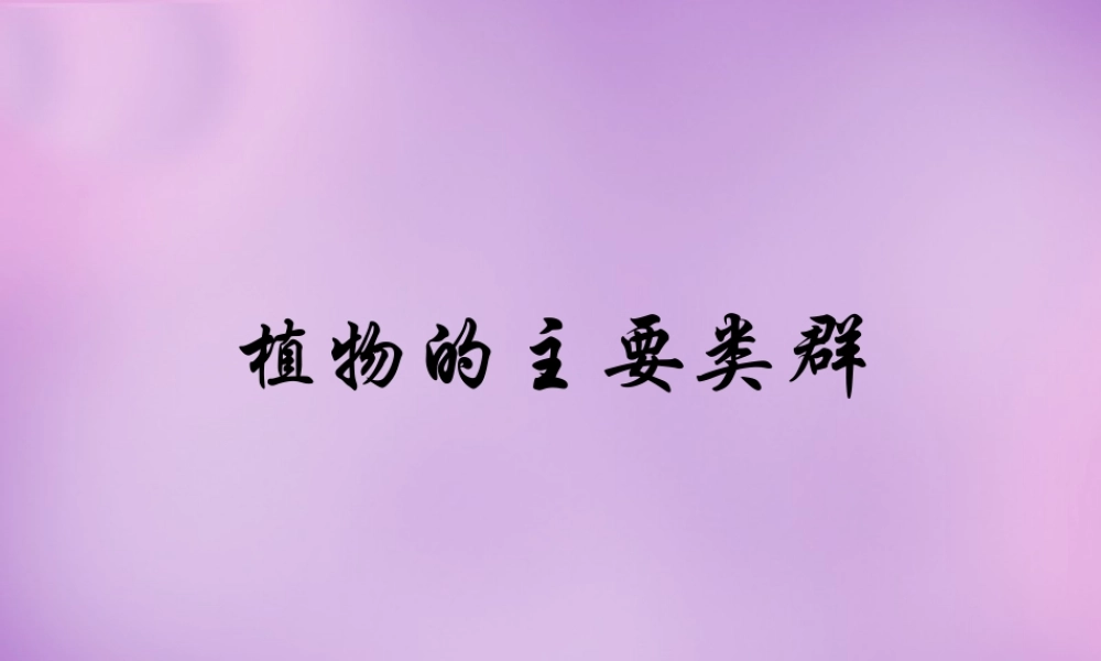 八年级生物下册 22.3 植物的主要类群课件1 北师大版 课件