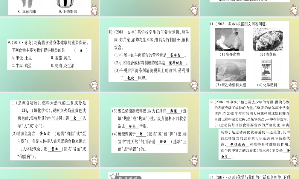 中考化学准点备考复习 第一部分 教材系统复习 第12讲 化学与生活复习作业课件 新人教版 课件