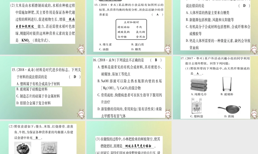 中考化学准点备考复习 第一部分 教材系统复习 第12讲 化学与生活复习作业课件 新人教版 课件