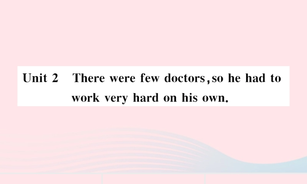 九年级英语上册 Module 3 HeroesUnit 2There were few doctors so he had to work very hard on his own(小册子)课件 (新版)外研版 课件