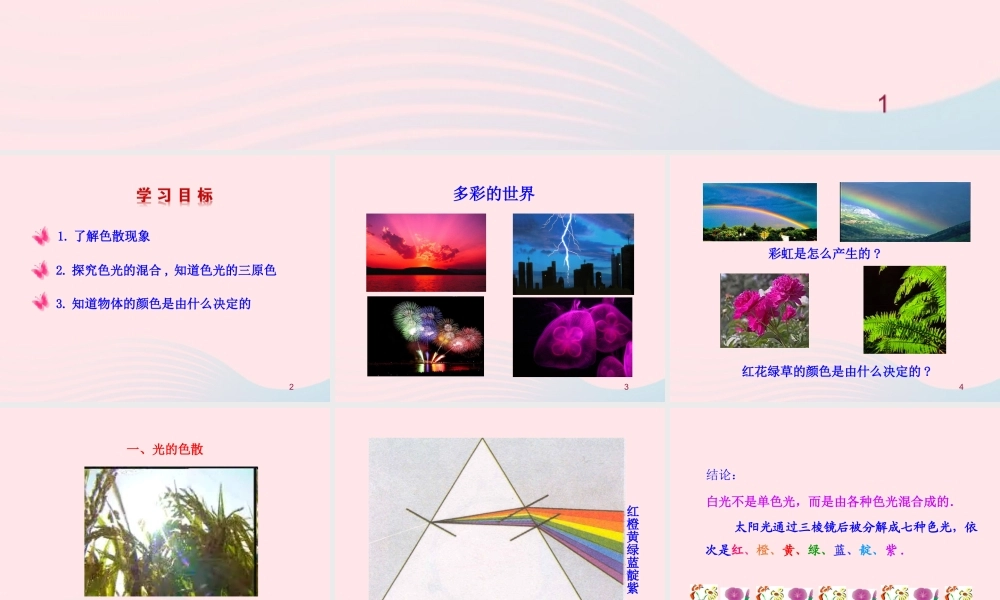 五  物体的颜色课件 八年级物理上册 5.5 物体的颜色课件+素材(新版)北师大版 八年级物理上册 5.5 物体的颜色课件+素材(新版)北师大版-2