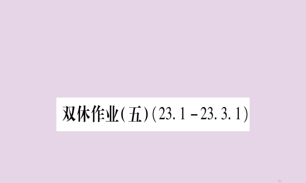 九年级数学上册 双休作业(5)作业课件 (新版)华东师大版 课件