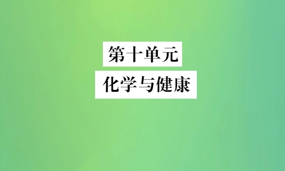 中考化学总复习 教材考点梳理 第十单元 化学与健康课件 鲁教版 课件