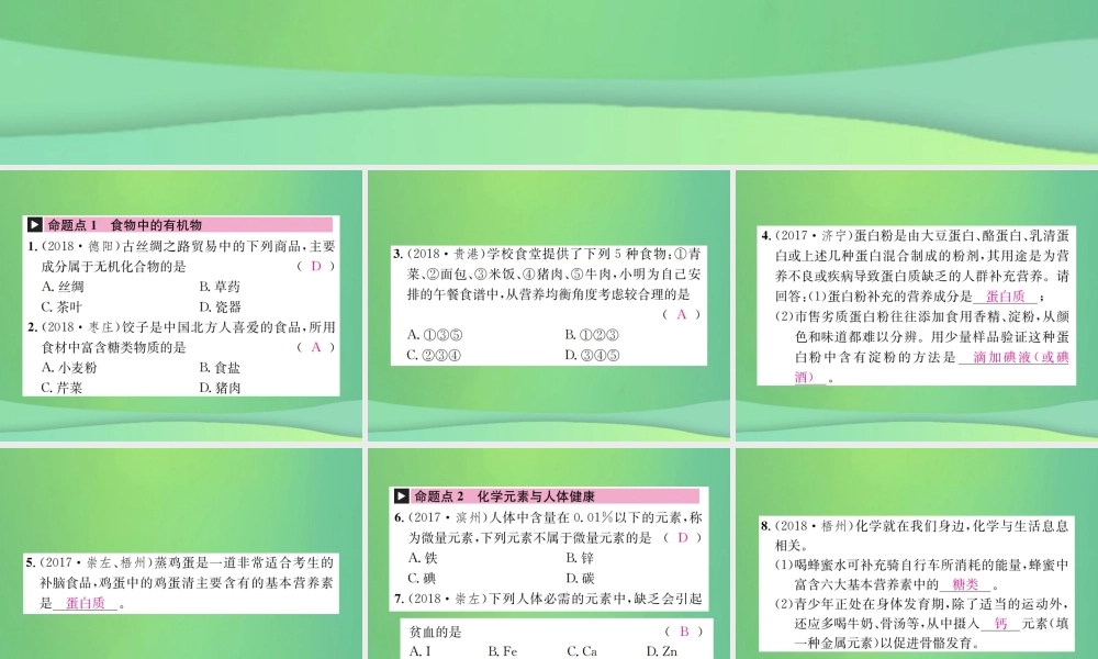 中考化学总复习 教材考点梳理 第十单元 化学与健康课件 鲁教版 课件