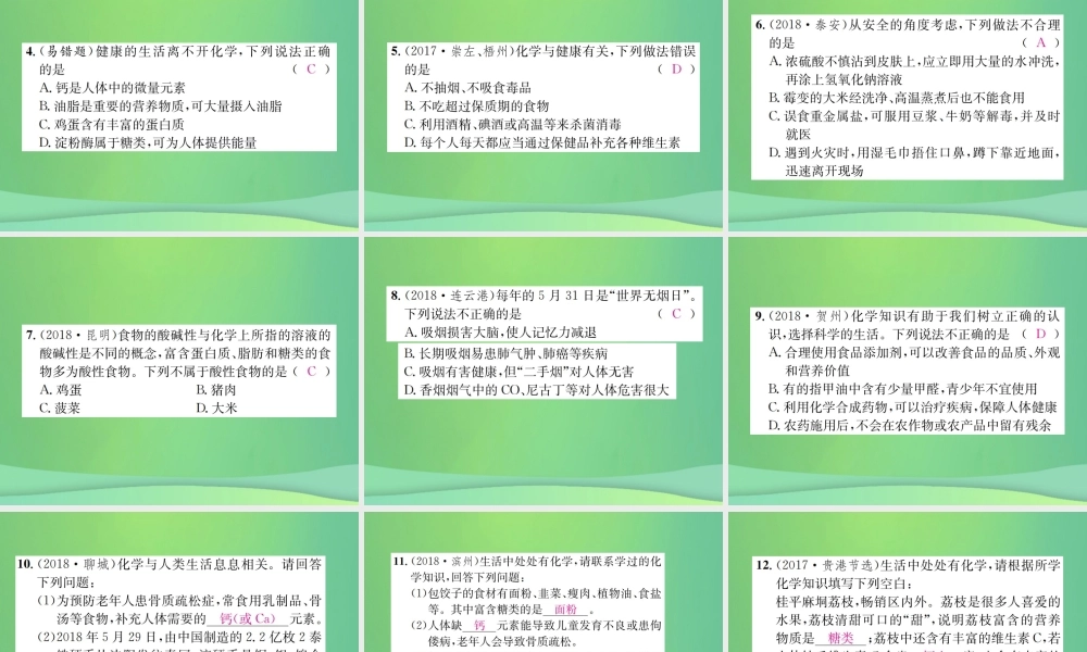 中考化学总复习 教材考点梳理 第十单元 化学与健康课件 鲁教版 课件