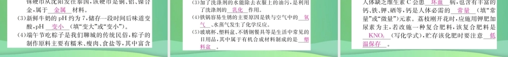 中考化学总复习 教材考点梳理 第十单元 化学与健康课件 鲁教版 课件