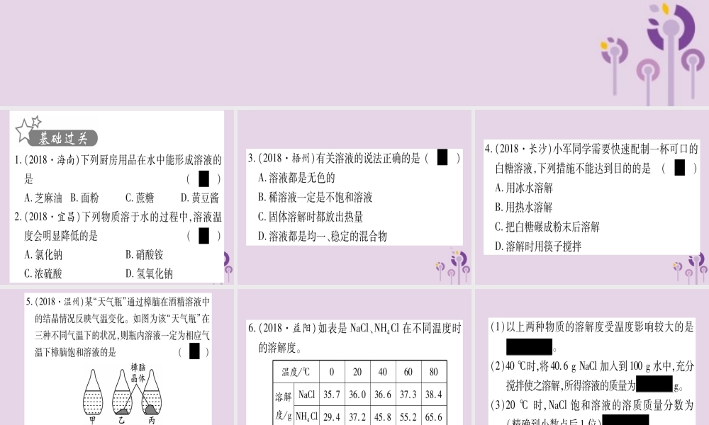 中考化学复习 第一部分 基础知识 第二单元 化学基本概念和原理 第14讲 溶液(精练)课件