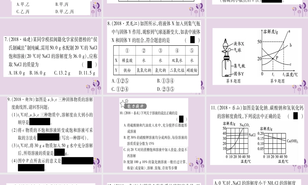 中考化学复习 第一部分 基础知识 第二单元 化学基本概念和原理 第14讲 溶液(精练)课件