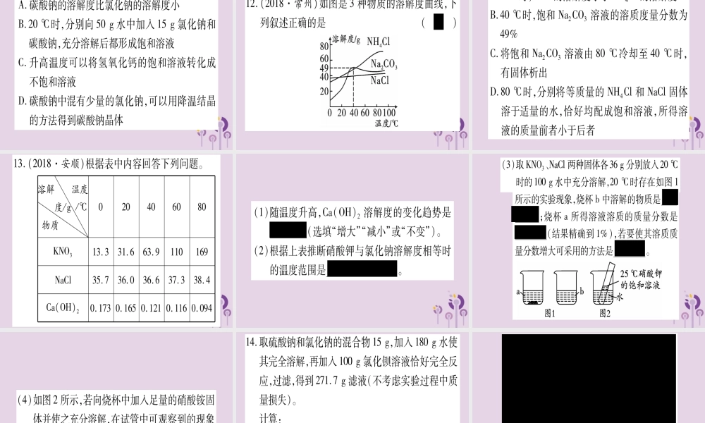 中考化学复习 第一部分 基础知识 第二单元 化学基本概念和原理 第14讲 溶液(精练)课件
