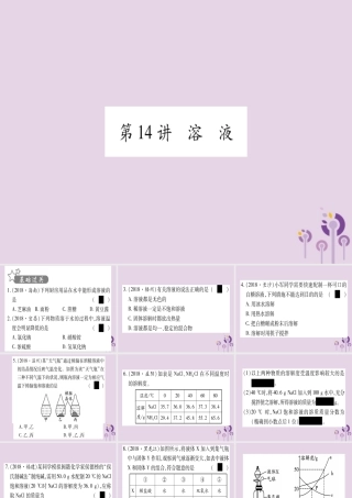 中考化学复习 第一部分 基础知识 第二单元 化学基本概念和原理 第14讲 溶液(精练)课件