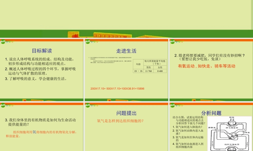 七年级生物下册 人的生活需要空气课件