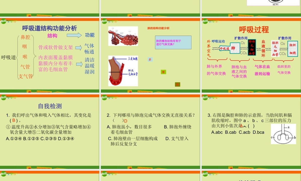 七年级生物下册 人的生活需要空气课件