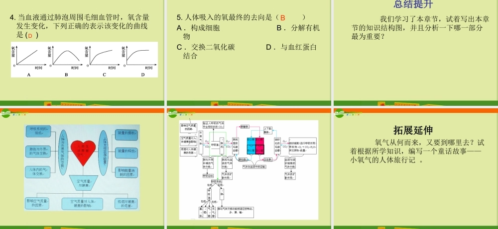 七年级生物下册 人的生活需要空气课件