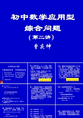 中考数学应用型综合问题二 试题