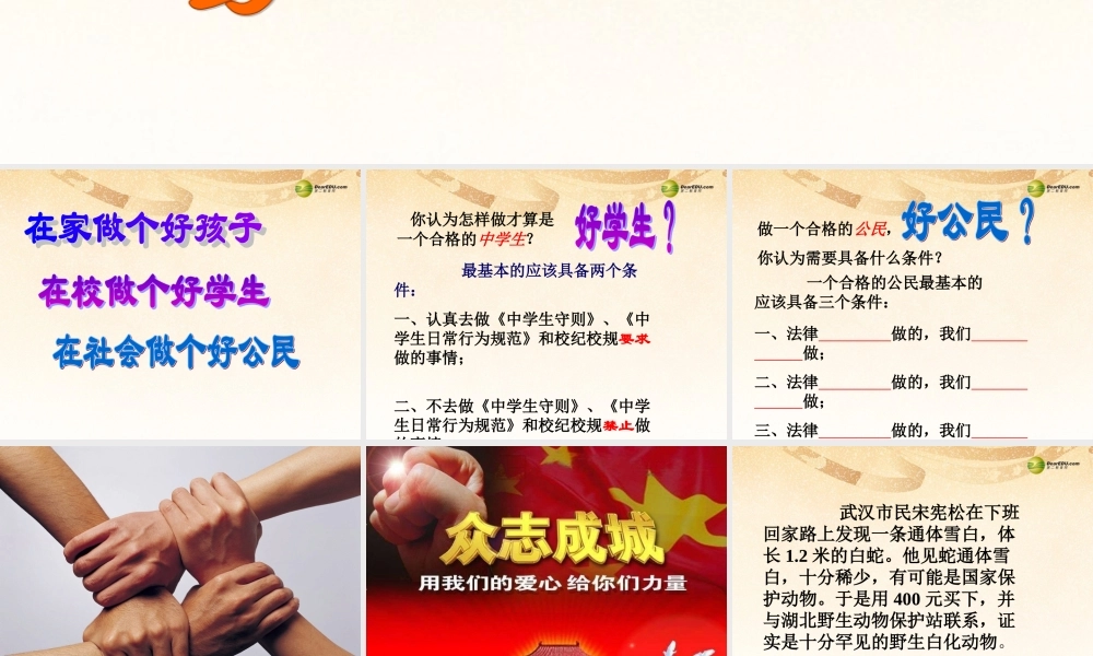 八年级政治下册 第二课 第二框忠实履行义务课件 新人教版 课件