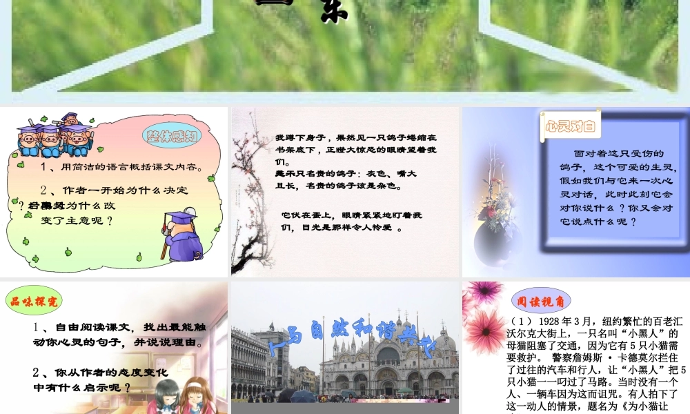 八年级语文上 明天不封阳台 精品件2人教版 课件