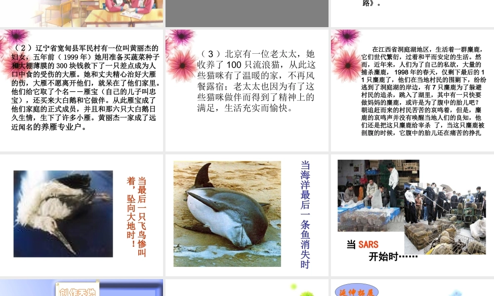 八年级语文上 明天不封阳台 精品件2人教版 课件