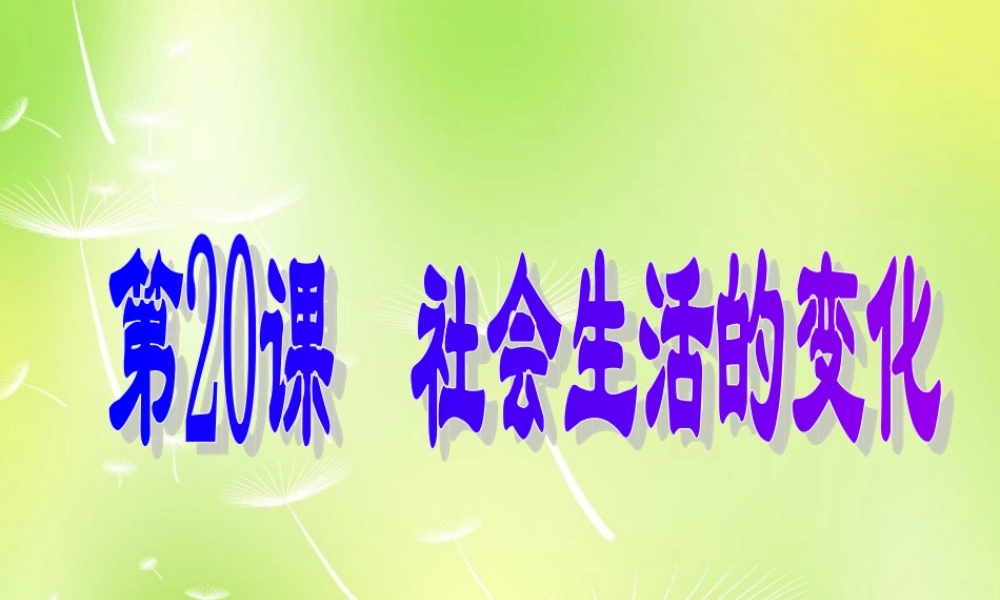 八年级历史上册 第近代社会生活的变化课件 新人教版 课件