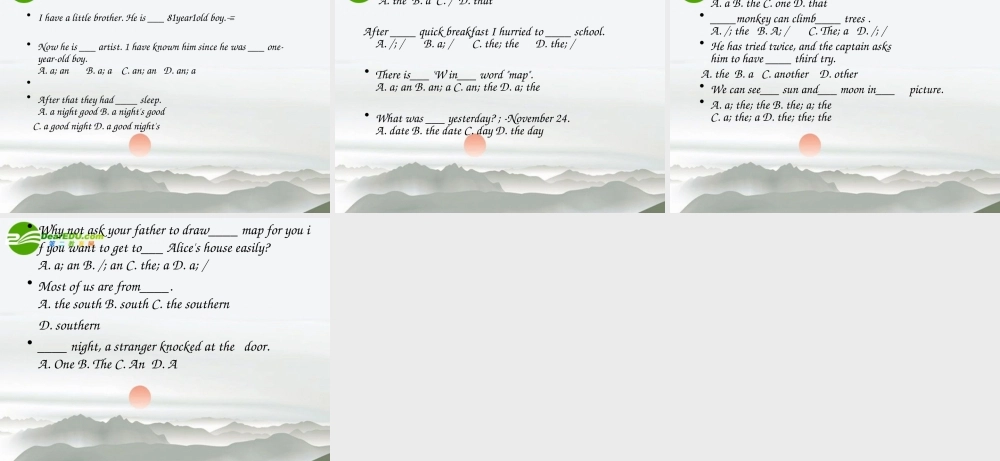 九年级英语中考中考冠词专项集训课件