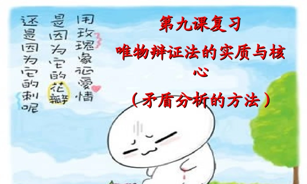 中考政治复习 (生活与哲学)第九课第一轮复习课件