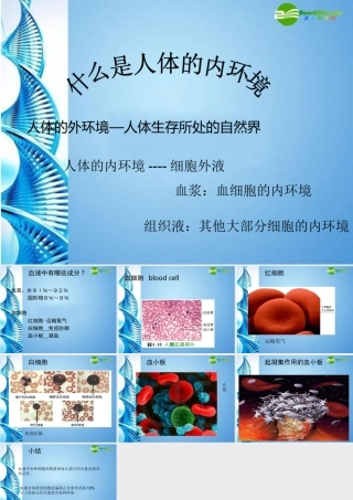 八年级生物 第一学期(试验本)第1章 第二节 什么是人体的内环课件 上海版 课件