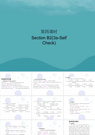 九年级英语全册 Unit 9 I like music that I can dance to(第4课时)Section B2(3a Self Check)习题课件 (新版)人教新目标版 课件