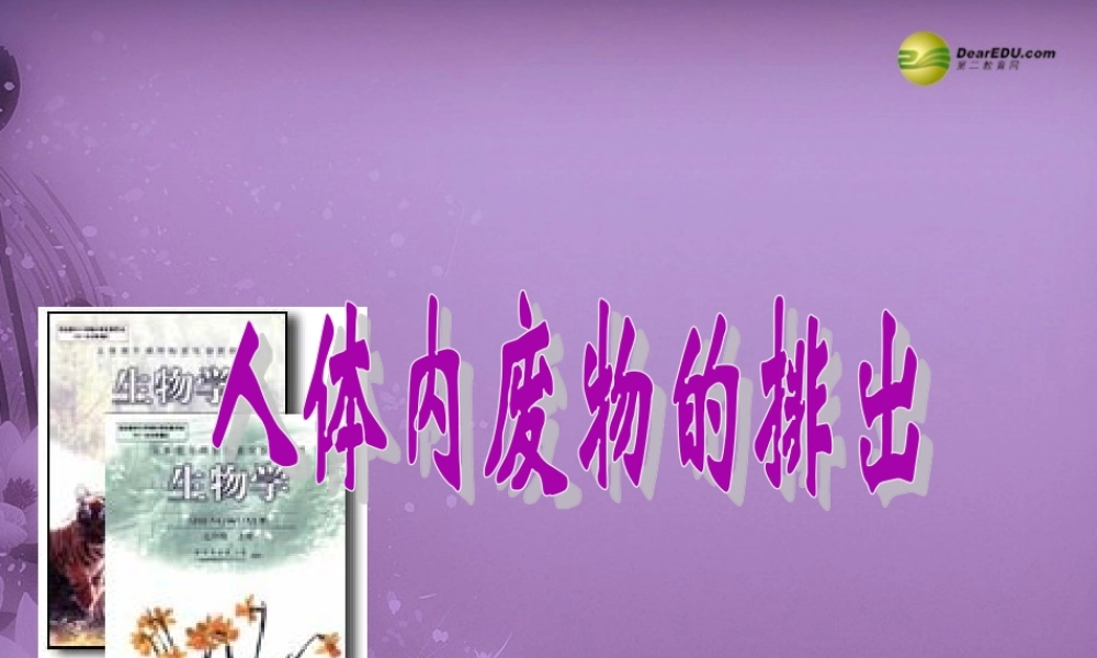 八年级生物上册 第五章 (人体内废物的排出)复习配套课件 鲁科版 课件