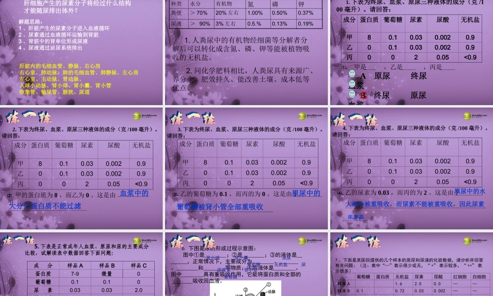 八年级生物上册 第五章 (人体内废物的排出)复习配套课件 鲁科版 课件