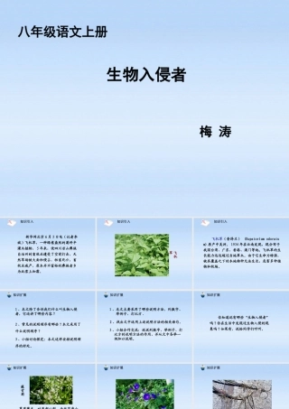 八年级语文上册 第19课生物入侵者1课件 人教新课标版 课件