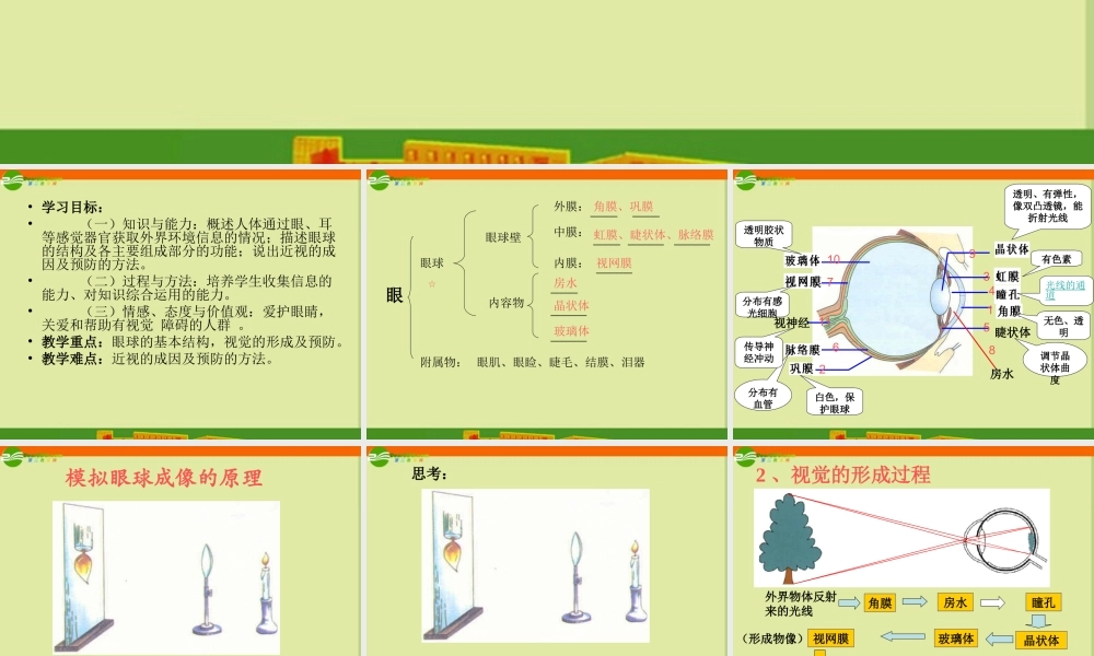 七年级生物下册(视觉的形成)课件 济南版 课件