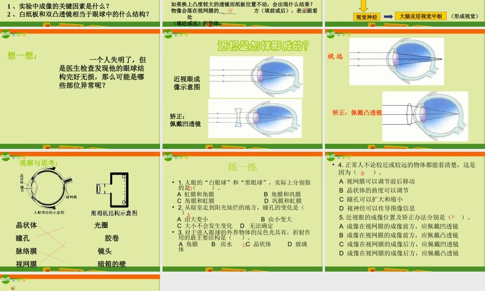 七年级生物下册(视觉的形成)课件 济南版 课件