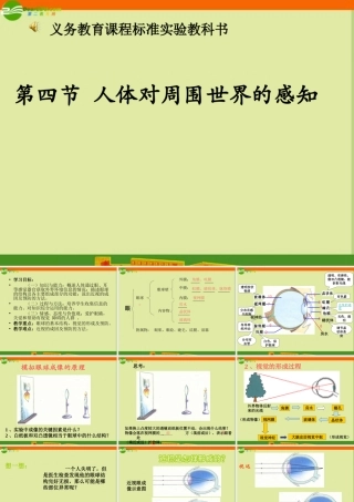 七年级生物下册(视觉的形成)课件 济南版 课件