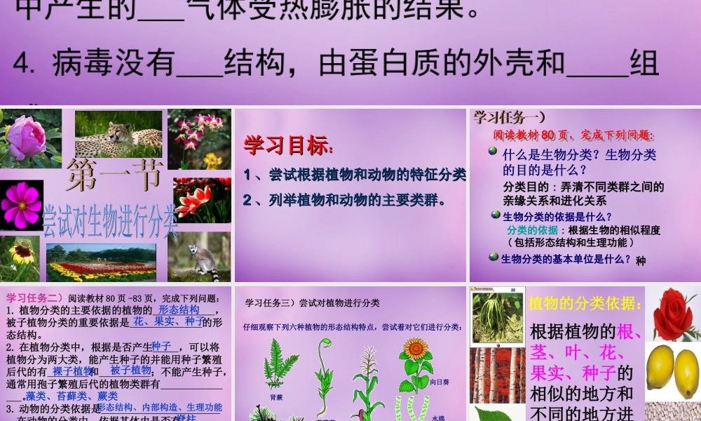 八年级生物上册 第6单元 第1章 第1节 尝试对生物进行分类课件 (新版)新人教版 课件