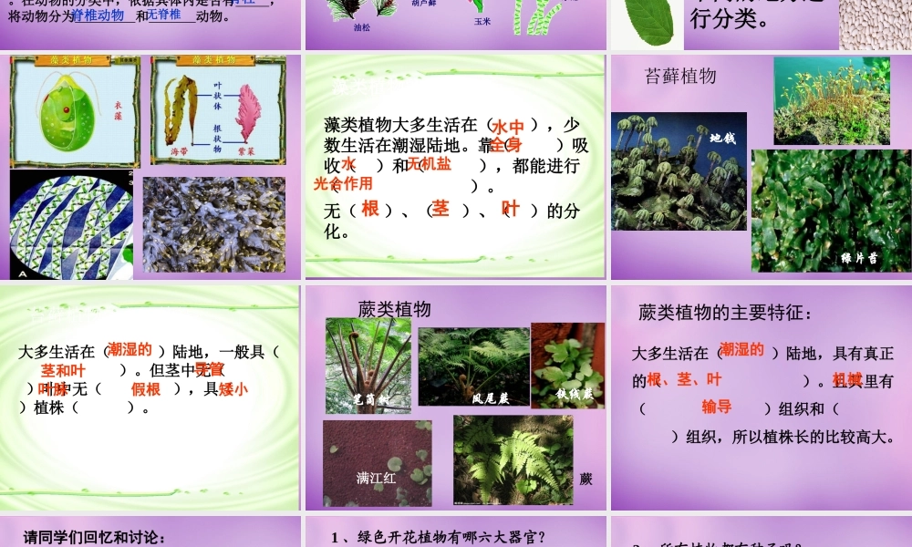 八年级生物上册 第6单元 第1章 第1节 尝试对生物进行分类课件 (新版)新人教版 课件